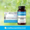 Bioherba Zitronenmelisse Extrakt 200 mg 100 Kapseln Produktbild-Vorschau 8