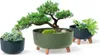 Pot de fleur 23,5cm GRACIA ECO WOOD DGRL240W-4625W café Voir les images du produit 10