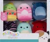 Squishmallows Micromallows 6Pack Voir les images du produit 2