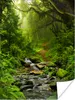 MuchoWow® Poster Natur - Wasser - Dschungel - Wald - Produktbild-Vorschau 1