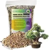 Garten Lux Premium Bonsai Substrat–6L 4-Komponenten Bonsai Produktbild-Vorschau 1