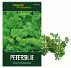 Petersilie Moskrul 2 (Mooskrause) Samen - Petroselinum Produktbild-Vorschau 1