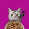 Whiskas Hühnereintopf Gelee 40 x 85 g Podgląd zdjęcia produktu 6