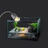 50W halogenová tepelná lampa UVA UVB sluneční lampa Náhled obrázku produktu 3