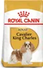 Royal Canin Cavalier King Charles Adult, Dorosły, Cavalier Podgląd zdjęcia produktu 15