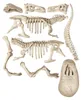 Ausgrabungs-Set T-Rex & Triceratops, Experimentierkasten Produktbild-Vorschau 4