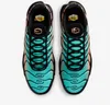 Chaussures Nike Air Max Plus DM0032022 Voir les images du produit 5