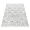 Hochflor Teppich Pepe rechteckig, Farbe: Grau, Produktbild-Vorschau 3