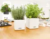 LECHUZA stolový kvetináč CUBE Farba 14 Biela | kvetináč so Náhľad obrázku produktu 33