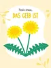 Suchen, Finden, Staunen - Meine Entdeckerkarten - Natur Produktbild-Vorschau 7