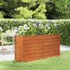 vidaXL Lit surélevé Rouillé 160x40x77 cm acier corten Voir les images du produit 2