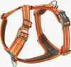 Dog Copenhagen V3 Comfort Walk Air Harness Orange Sun M Produktbild-Vorschau 1