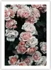 Poster - Poster ohne Rahmen - Rosen Blumen Blätter - 50x70 Produktbild-Vorschau 1