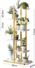 A multi-tiered plant stand with various potted plants on each shelf. Anteprima dell’immagine prodotto