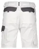 DASSY® Roma Zweifarbige Arbeitsshorts WEIß/ZEMENTGRAU Gr.52 Produktbild-Vorschau 3