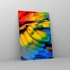 Bilder auf glas - Einteilig - Feder Papagei Vogel - 50x70cm Produktbild-Vorschau 4