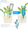 Scheurich Wasserspender Copa XL | 1x Grün | 500 ml Produktbild-Vorschau 6