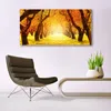 Glasbilder 140x70 Wandbild Druck auf Glas Wald Fußpfad Produktbild-Vorschau 3