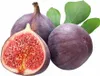 Feige 'Brown Turkey' – Ficus Carica, ca. 30 cm, winterhart, Produktbild-Vorschau 1
