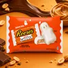 Reese's White Creme Pindakaas "White Ghosts", 272g Productafbeelding-voorbeeld 1