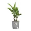 ELHO - Blumentopf - Greensense Aqua Care Round 35 - Light Produktbild-Vorschau 3