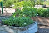 Hochbeet aus Holz Blumenkasten Gartenbeet Pflanzkasten Produktbild-Vorschau 2