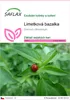 SAFLAX - Limetková bazalka - Ocimum citriodorum - 200 Náhled obrázku produktu 1