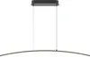 LED Pendelleuchte Metall H: max. 305,7 cm Schwarz länglich Produktbild-Vorschau 1
