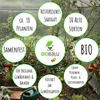 Artikelbild 5 von 'BIO Tomatensamen 10 Alte Sorten Set' aus der Kategorie Gemüsesamen-Sets Produktbild-Vorschau