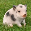 Dekofigur Gartenfigur Schwein / Ferkel Produktbild-Vorschau 1