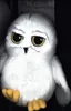 A plush toy owl, likely Hedwig from Harry Potter, is shown against a dark background with some text visible behind it. Produktbild-Vorschau