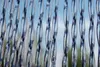 CASA ALBI 1 Streifenvorhang transparent schwarz,Maße:120 x Produktbild-Vorschau 2