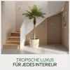 Meisterhome Kunstpalme 210 cm – Extra große Tropische Produktbild-Vorschau 8