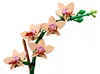 Mała orchidea Podgląd zdjęcia produktu 12