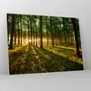 Bilder auf glas - Wald grün Sonnenstrahlen Natur - 70x50cm Produktbild-Vorschau 4