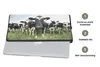 MuchoWow® Laptop Hülle 14 ZollKühe - Gras - Frühling - Produktbild-Vorschau 4