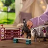 Paardenclub Lisa's Trainingsprogramma voor Wedstrijden Productafbeelding-voorbeeld 10