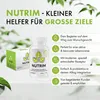 Nutrim SET 2 x 60 vegane Kapseln mit Knotentang, Ingwer, Produktbild-Vorschau 2