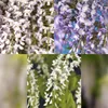 GreenboutiQ - Blauregen Pflanze Winterhart - Wisteria Produktbild-Vorschau 4