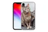 MuchoWow® Handyhülle Schutzhülle Hülle für iPhone XR Katze Produktbild-Vorschau 2