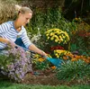 A woman is gardening in a flower bed, using a rake. Náhľad obrázku produktu