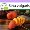 SAFLAX - BIO - Zlatá řepa - Beta vulgaris - 50 Semena Náhled obrázku produktu 10