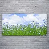 Acrylglasbilder 120x60 Wandbild Druck Blumen Natur Produktbild-Vorschau 2