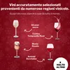 BOXILAND®: Calendario dell'Avvento con vino 2026, 24 Anteprima dell’immagine prodotto 5