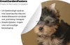 MuchoWow® Produktbild-Vorschau 4