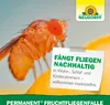 Neudorff Permanent FruchtfliegenFalle inkl. 1 Fläschchen Produktbild-Vorschau 6