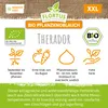 Aglio da piantare invernale XXL Therador | Aglio da Anteprima dell’immagine prodotto 3