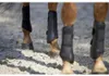 Back on Track Gamaschen 3D Mesh Brushing Schwarz S Voir les images du produit 3