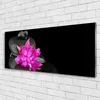 Glasbilder 125x50 Wandbild Druck auf Glas Blumen Steine Produktbild-Vorschau 2
