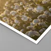 Poster - Poster ohne Rahmen - Baumwolle Feld Acker - 50x40 Produktbild-Vorschau 2